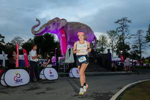 BIB: 
                            <button type="button" onclick="openModal(26529558)" class="btn btn-primary btn-sm float-right btn-popup" data-toggle="modal" data-target=".modal-high-quality">
                        <i class="fas fa-shopping-cart"></i> Add to Cart
                    </button>
                                            <button type="button" onclick="isThisMe(26529558, true)" class="btn btn-success btn-sm float-right btn-popup btn-isme hidden" data-toggle="tooltip" data-placement="bottom" title="นี่คือรูปของคุณใช่ไหม คลิกที่นี่เพื่อเอาเข้าอัลบั้ม">
                        <i class="fas fa-plus"></i> Add to album
                    </button>
                    <button type="button" onclick="isThisMe(26529558, false)" class="btn btn-warning btn-sm float-right btn-popup btn-isnotme hidden">
                        <i class="fas fa-ban"></i> Remove from album
                    </button>